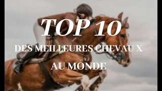 TOP 10 - Des meilleures chevaux au monde