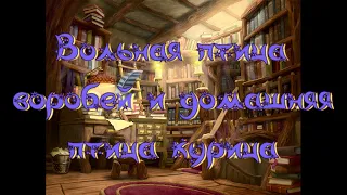 Виртуальная «Комната сказок». Афганская сказка «Вольная птица воробей и домашняя птица курица»