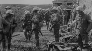 The Lost Diggers of Fromelles