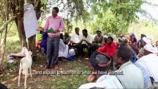 'Schools Without Walls', (Agro)Pastoralist Field Schools in the Horn of Africa