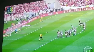 GOL DE GANSO CONTRA O FLAMENGO