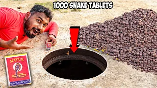 1000 Snake Tablet in Underground Experiment