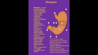 Самодиагностика состояния желудка (№3 из цикла "Самодиагностика")