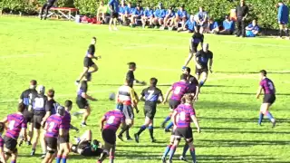 Knox v Joeys 1stXV [3-38] 2016 schools rugby