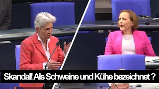 Skandal im Bundestag! Haben AfD-Abgeordnete Transgender als Schweine und Kühe bezeichnet ?