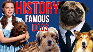 MOST FAMOUS DOGS in HISTORY #dog #doglover #dogs