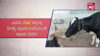 Oil-based ethno-veterinary treatment for Mastitis (Kannada)