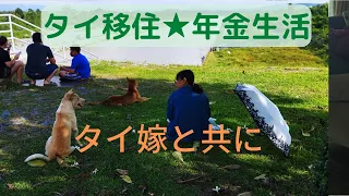 【タイ移住★年金生活】2022年8月14日(日)  普段の日常の様子を短い動画にしました。