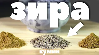 СПЕЦИИ ПО ВКУСУ: ЗИРА (КУМИН) с рецептами применения.