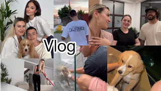 Ju prezantojme Miken qenushen 🥰//Fifi dhe Zerka tek Saudeza 🙈//Vlog//Dezi Lami