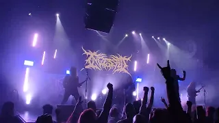 Ingested - Endless Machine - live at Budapest - 2024.05.04.