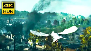 Pigeon Beautiful Mission from Battlefield™1 [PS5™4K HDR]