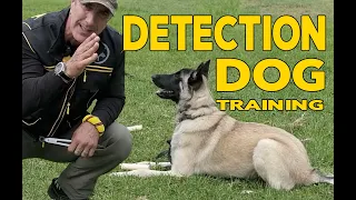 Dog Scent Detection Basics