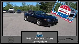 2001 Ford Mustang SVT Cobra Convertible|Walk Around Video|In Depth Review|Test Drive