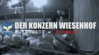 DER KONZERN WIESENHOF: Putenmast - Outtakes // SOKO Tierschutz e.V.