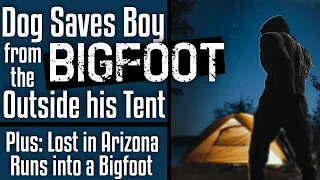 Boy Saved by His Dog from the Bigfoot Outside his Tent! Plus - Lost in Arizona and Runs into Bigfoot