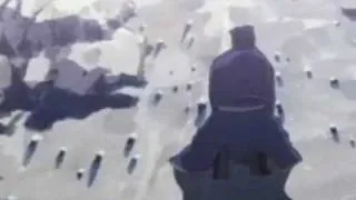 FMA Scar Symmetry AMV - morphogenesis