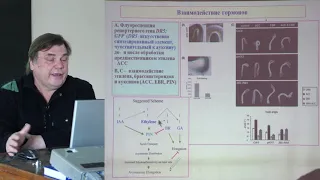 Носов А. М. - Физиология растений II - Сигнальные системы растений