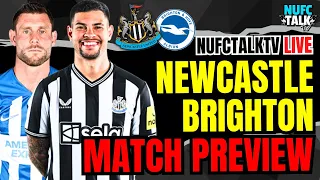 NEWCASTLE FACE BRIGHTON AT SJP! PREDICTIONS, LINE UPS & MORE | MATCH PREVIEW
