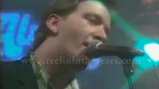Squeeze- "Pulling Mussels (From The Shell)" Live 1980 (Reelin' In The Years Archive)