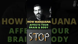 NEUROSCIENTIST: How Marijuana Affects Your Brain & Body | Dr. Andrew Huberman #neuroscience #shorts