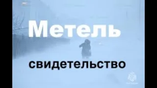 Свидетельство -"МЕТЕЛЬ" Наталья Бавыкина   - Вячеслав Бойнецкий