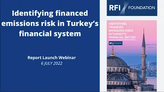 Webinar | Identifying Financed Emissions Risks in Turkey‘s Financial Sector