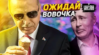 Альфасамец Эрдоган смачно поиздевался на гопником Путиным - Пионтковский