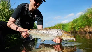 Fishing Sea Run Brown Trout, In Small Creek (fishing here for the first time!)