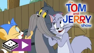 The Tom and Jerry Show | Tom's New Moustache | Boomerang UK 🇬🇧