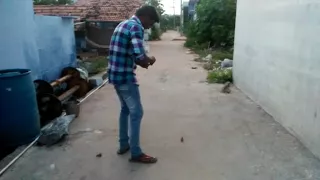 Diwali funny moments