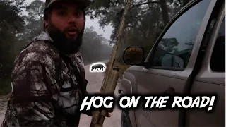 HOGS and SQUIRRELS EVERYWHERE!!! Florida BHA public land small game hunt (Swamp N Stomp ep. #93)