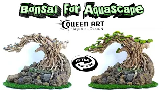 Bonsai For Aquascape - Akar Senggani untuk Aquarium