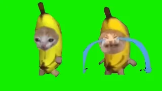 banana cat crying & running meme green screen