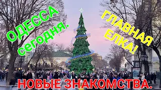 Елка на Дерибасовской.  Прогулка по Одессе. Новый Год в центре Одессы. Екатерина. Бандура. #зоотроп