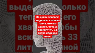 За сутки человек выделяет столько тепла, что его хватит, чтобы вскипятить 33 литра ледяной воды.