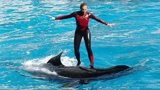 The Shamu "Believe" Show (trainers in water!) at SeaWorld