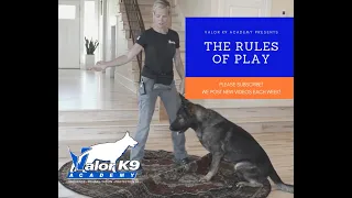 The 3 Rules of Play