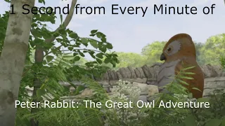 1 Second from Every Minute of Peter Rabbit The Great Owl Adventure