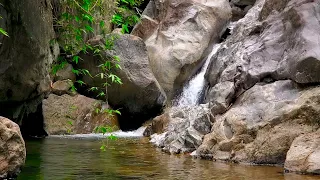 The sound of water flowing down is clear and cool (Birds sing very beautifully)