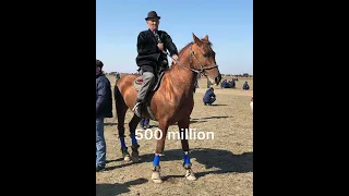 Көкпар аттар🏇