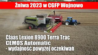 Claas LEXION 8900 TT CEMOS Automatic - żniwa 2023 w CGFP Wojnowo