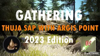 Black Desert Online Gathering Thuja Sap /Part 1/ - 1 hour - 2023 Edition