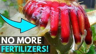 Mind-Blowing Discovery: The Slime That Can Change The World!