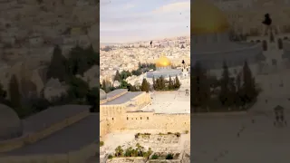 Masjid Al Aqsa Importance for Muslims 🕋☪️ #shorts #history #viral