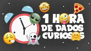 1 HORA DE DADOS CURIOSOS - FATOS INSANOS