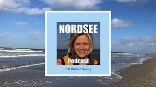 NORDSEE Podcast #99 Fischbrötchentester