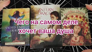 Чего на самом деле хочет ваша душа💞 это видео раскроет истину, для чего ваша душа пришла в этот мир