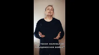 Что такое маленькая победоносная война? #shorts #история #историяроссии #россия