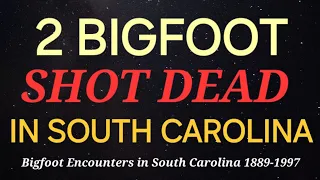 2 BIGFOOT SHOT DEAD IN SOUTH CAROLINA